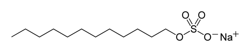 SDS-2D-skeletal