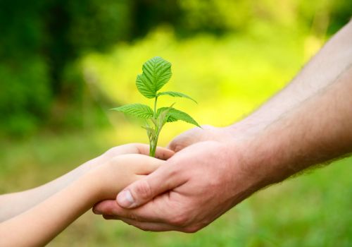 bigstock-Father-s-and-son-s-hands-holdi-49881893